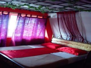 Little Star & Cameron Highlands